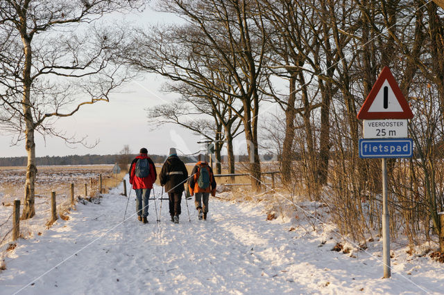 Nationaal Park Drents-Friese Wold