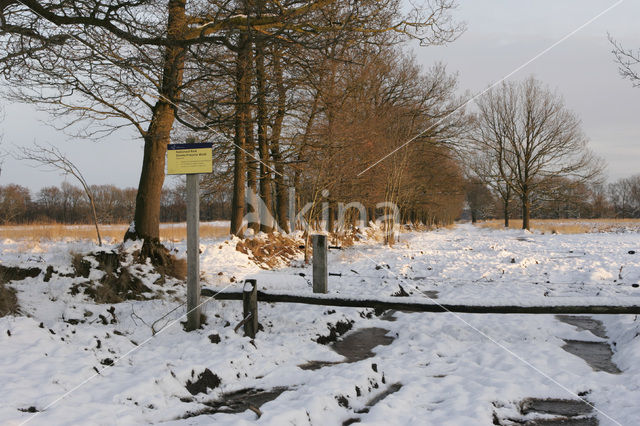 Nationaal Park Drents-Friese Wold