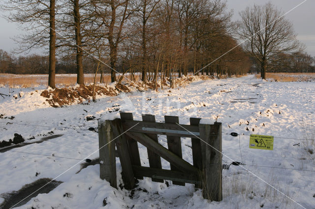 Nationaal Park Drents-Friese Wold