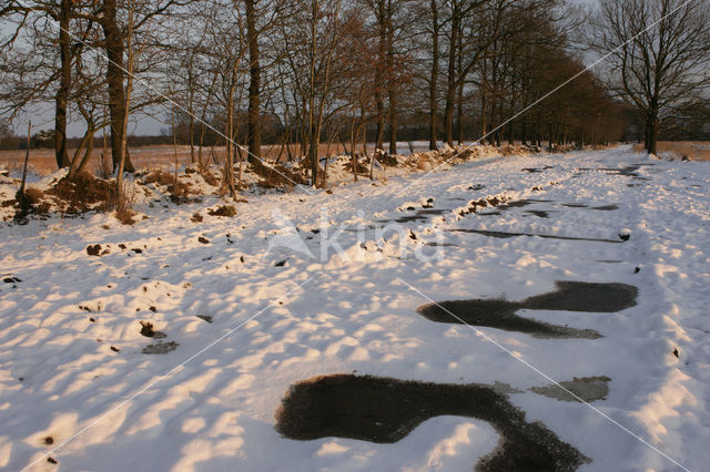 National Park Drents-Friese Wold