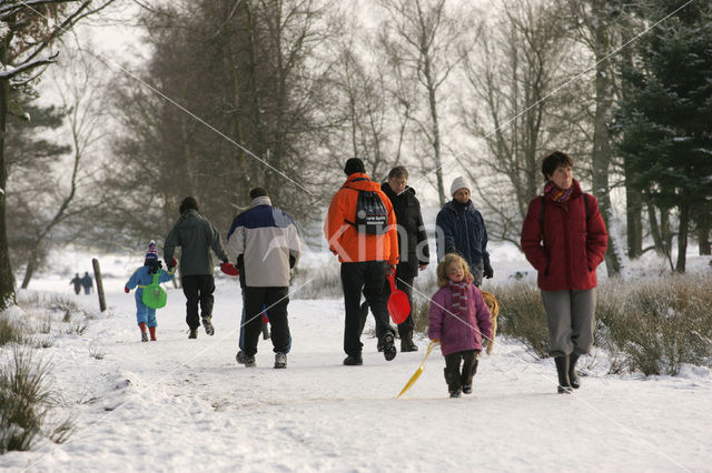National Park Drents-Friese Wold