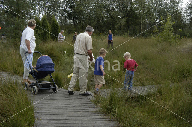 Nationaal Park Dwingelderveld