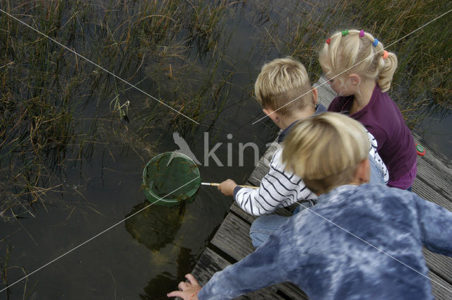 National Park Dwingelderveld