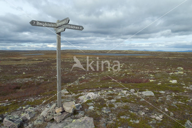 Nationaal Park Fulufjället