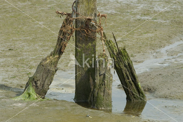 Nationaal Park Oosterschelde