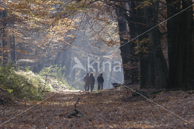 Nationaal park Utrechtse Heuvelrug