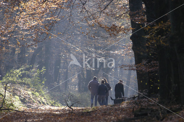 Nationaal park Utrechtse Heuvelrug