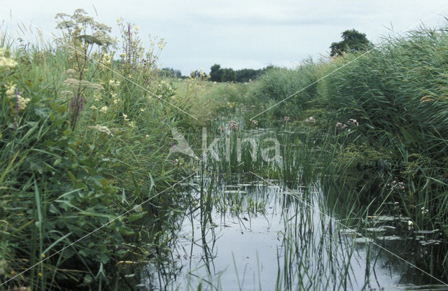 Nationaal Park Weerribben-Wieden