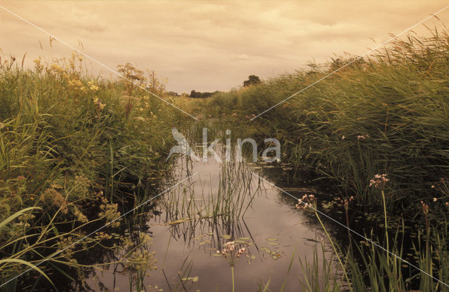 Nationaal Park Weerribben-Wieden