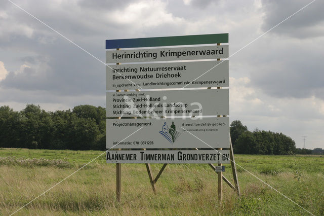 Natuurreservaat Berkenwoudse Driehoek