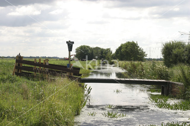 Natuurreservaat Berkenwoudse Driehoek