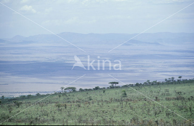 Ngorongoro National Park