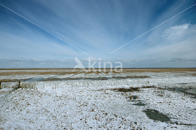 Noord Friesland Buitendijks