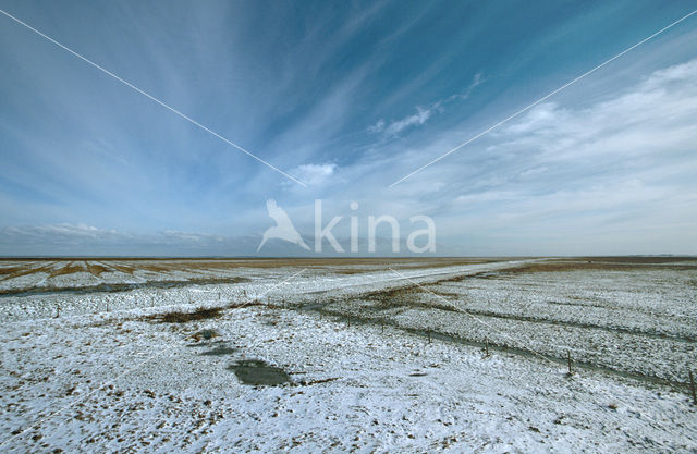 Noord Friesland Buitendijks