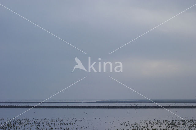 Noordpolderzijl