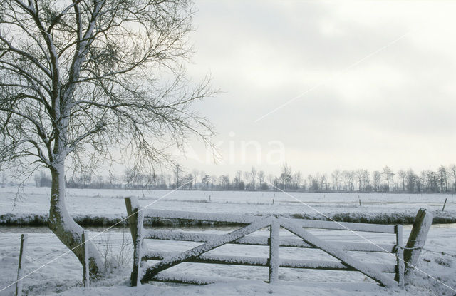 Polder Mastenbroek