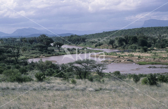 Shaba National Park