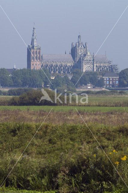 Sint-Janskathedraal