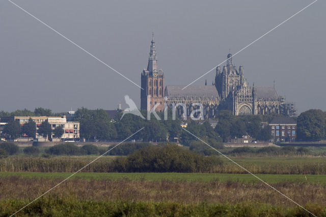 Sint-Janskathedraal