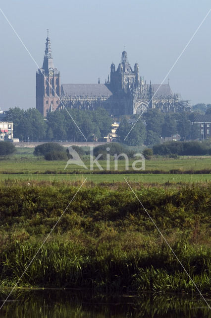 Sint-Janskathedraal