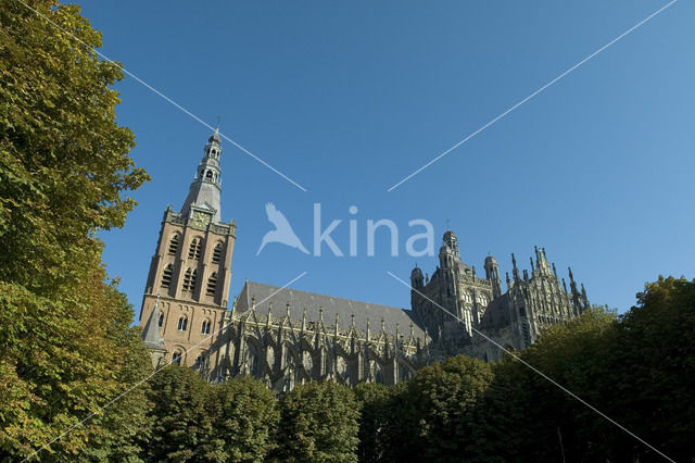 Saint John’s Cathedral