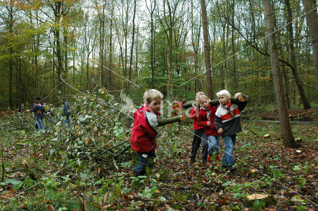 Voorsterbos