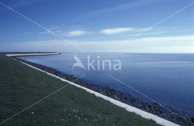 Waddensea