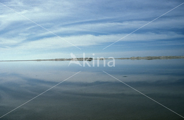 Waddensea