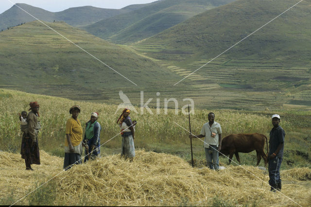 Drakensberg