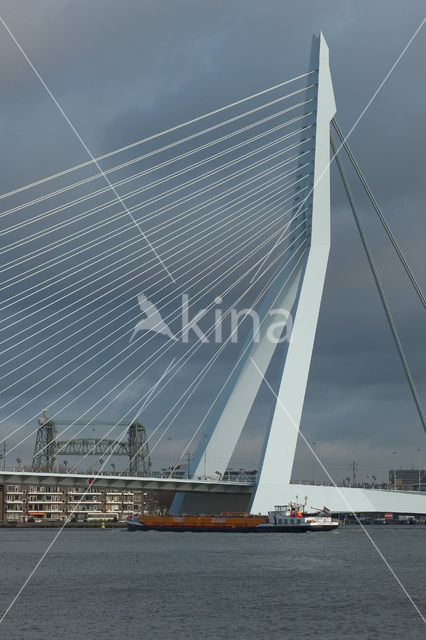 Erasmusbrug