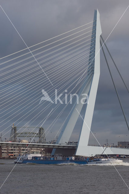 Erasmusbrug