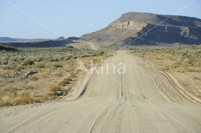 Fish River Canyon