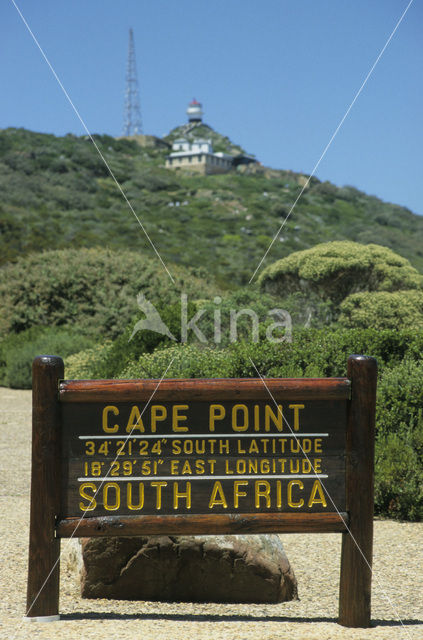 Cape of Good Hope