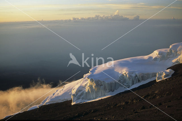 Kilimanjaro