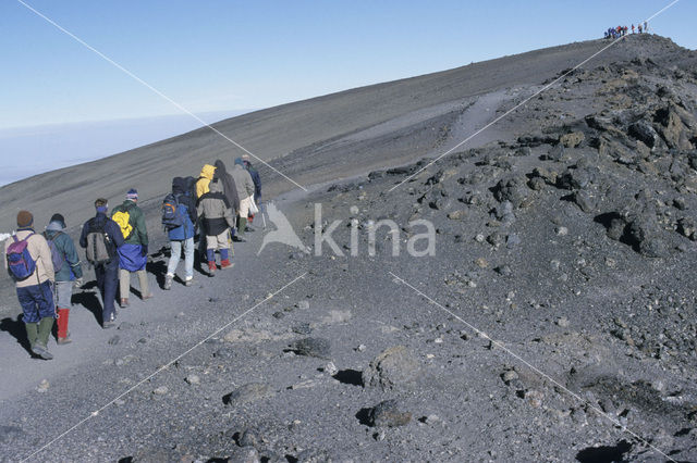 Kilimanjaro