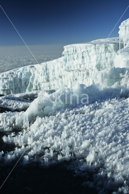 Kilimanjaro