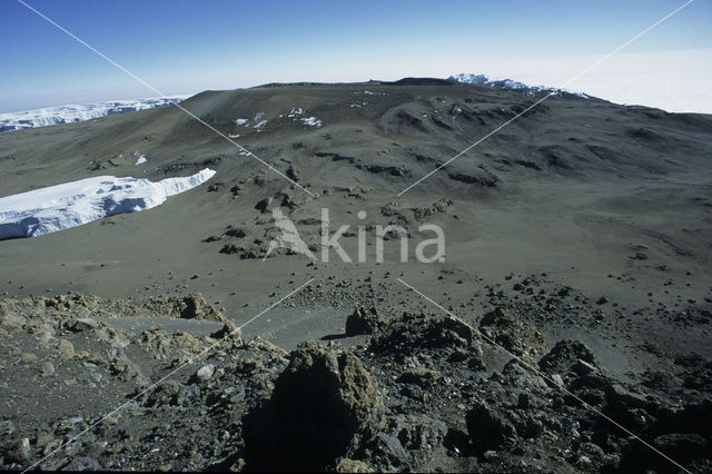 Kilimanjaro