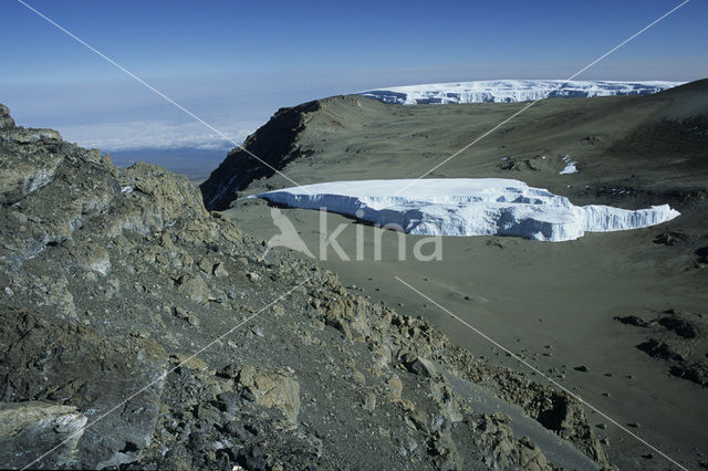 Kilimanjaro