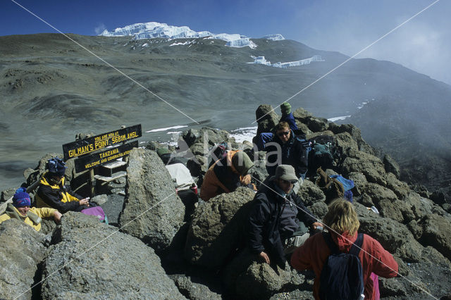 Kilimanjaro