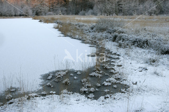 Kootwijkerveen
