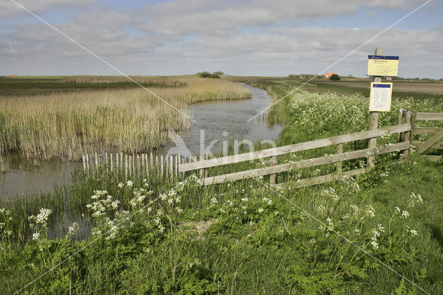 Lage land van Texel