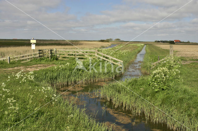 Lage land van Texel