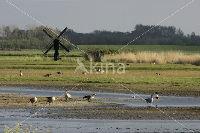 Lage land van Texel