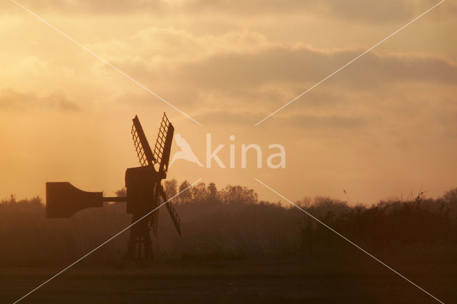 Lage land van Texel