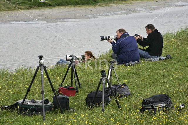 Lage land van Texel