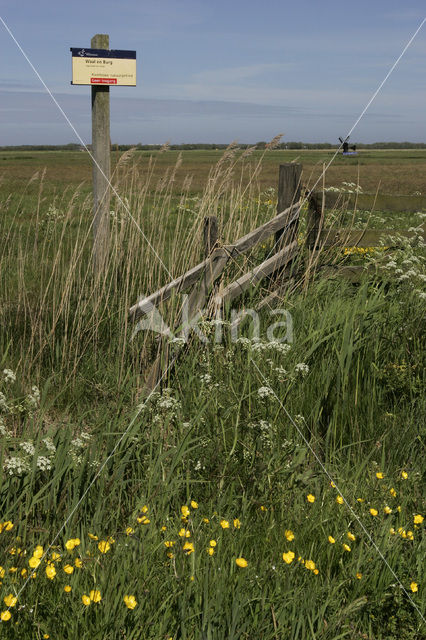 Lage land van Texel