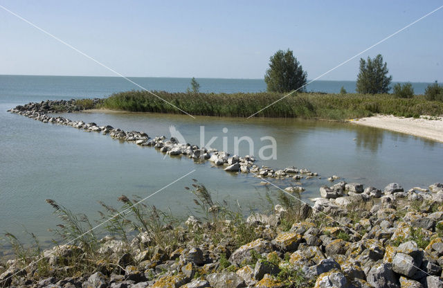 Markerwaarddijk