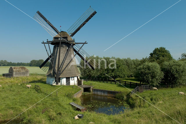 Molen Vervoorne Polder