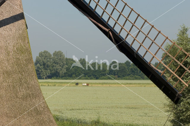 Molen Vervoorne Polder