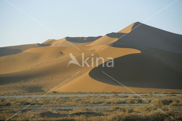 Namib naukluft national park